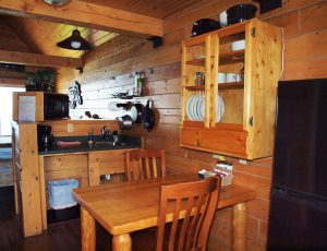 types of cabin rentals