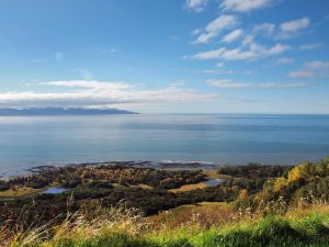 benefits of Cabin rentals in homer alaska